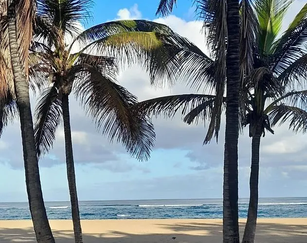 Lägenhet Chez Frois Las Palmas de Gran Canaria